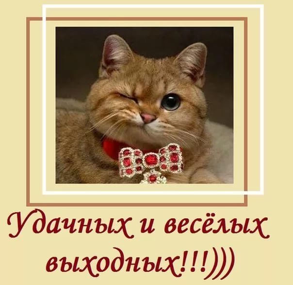 Удачных и веселых выходных!)