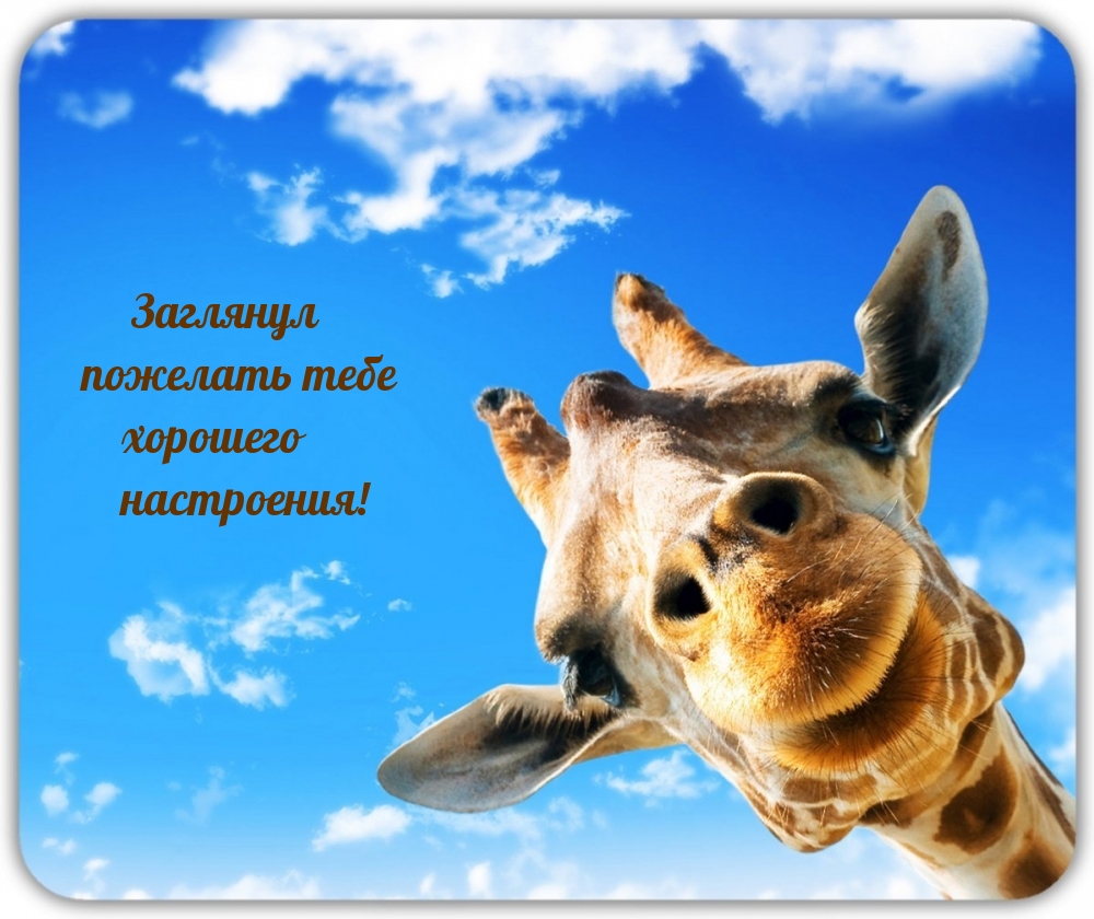 Заглянул пожелать тебе хорошего настроения!