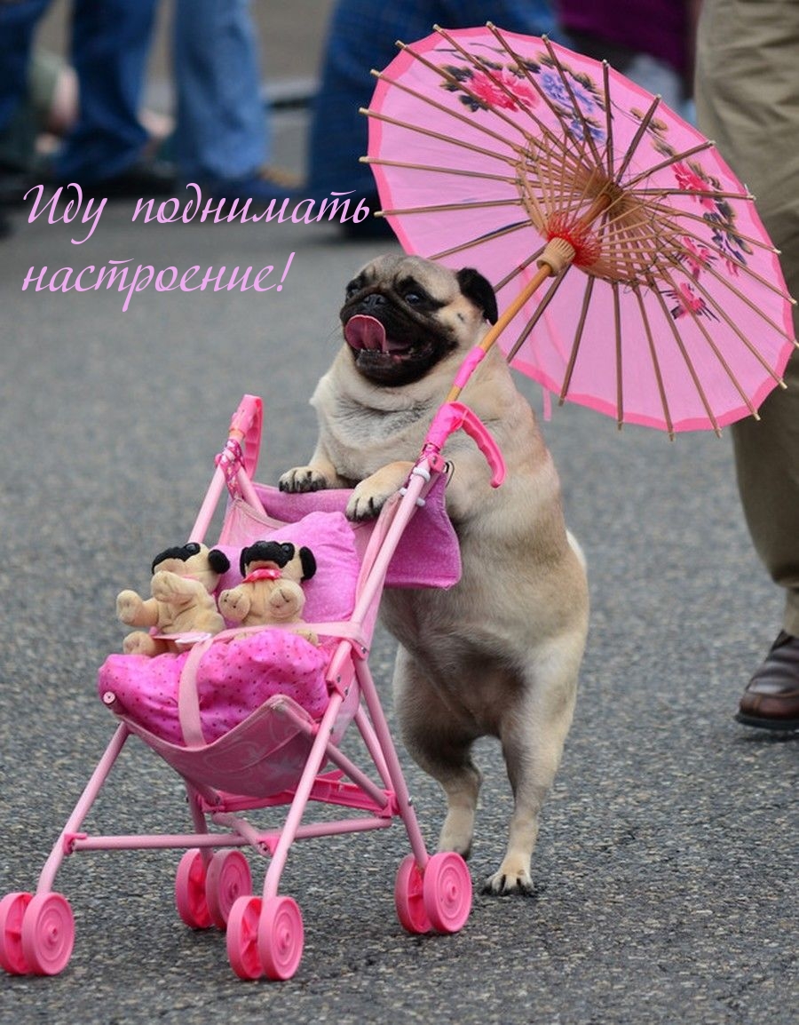 Иду поднимать настроение!