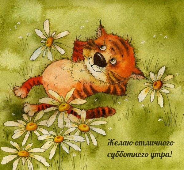 Желаю отличного субботнего утра!