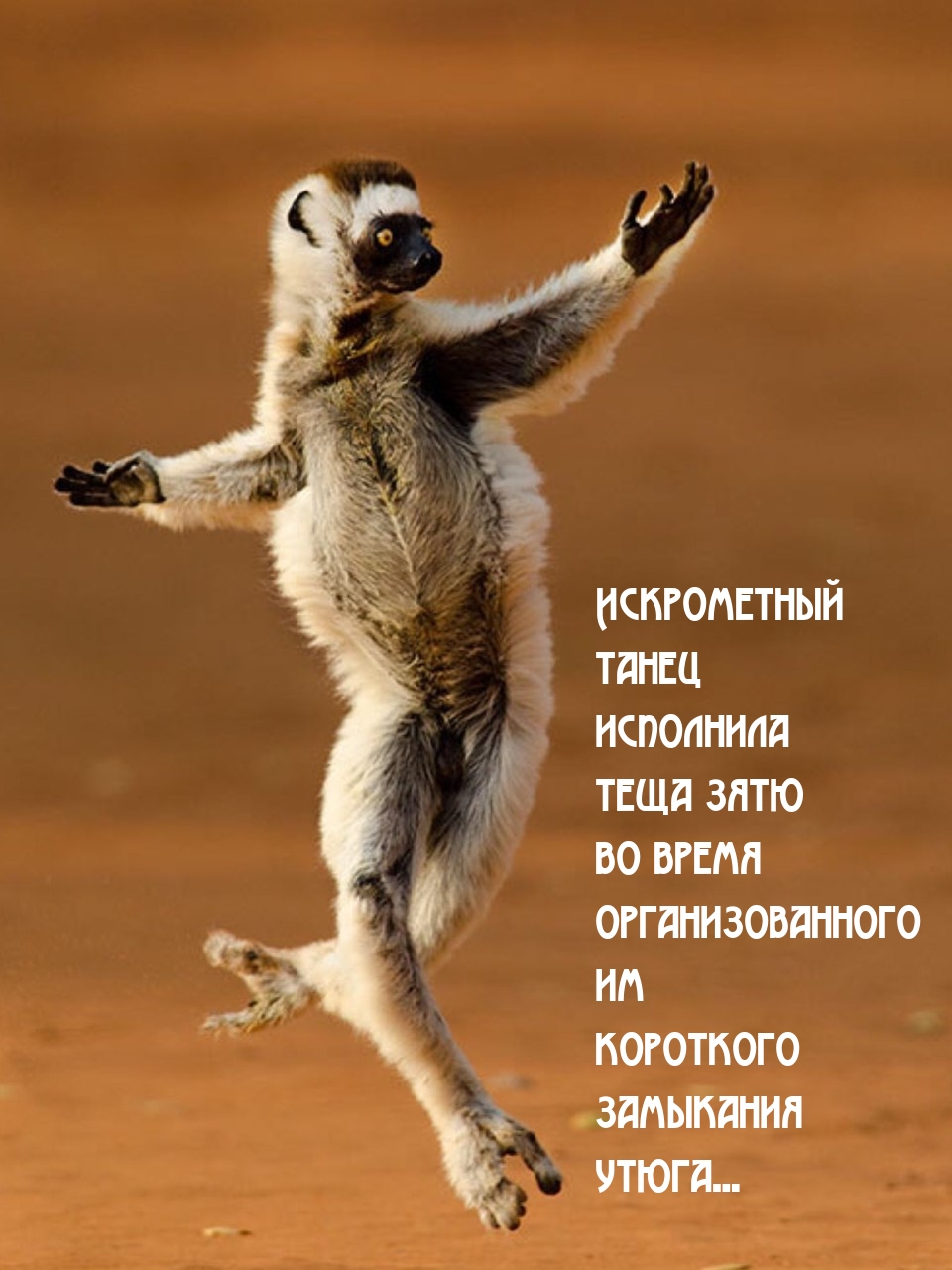 Искрометный танец исполнила теща зятю