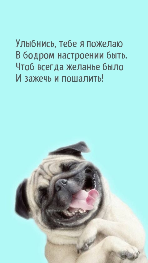 Улыбнись, тебе я пожелаю в бодром настроении быть.
