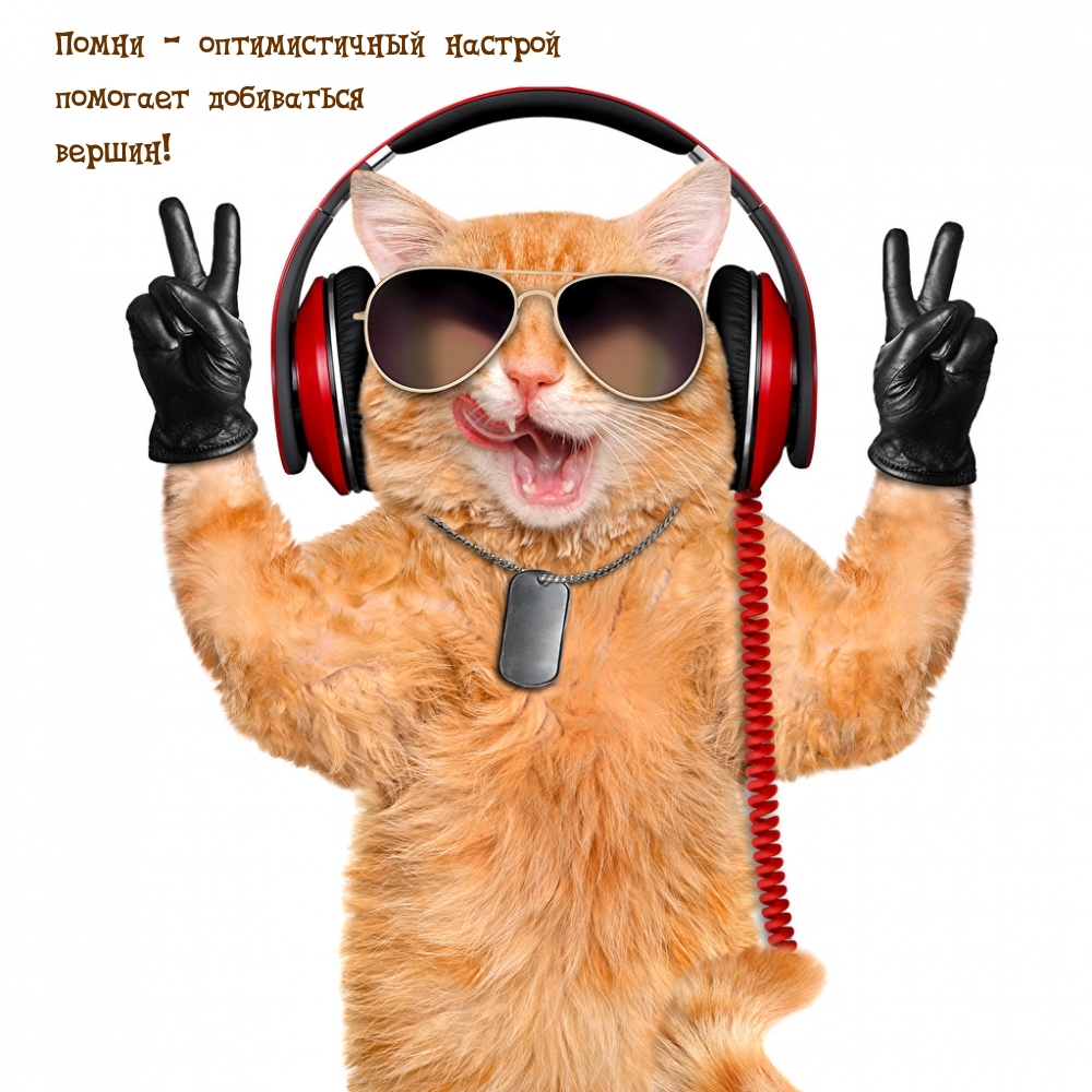 Помни — оптимистичный настрой помогает добиваться вершин!