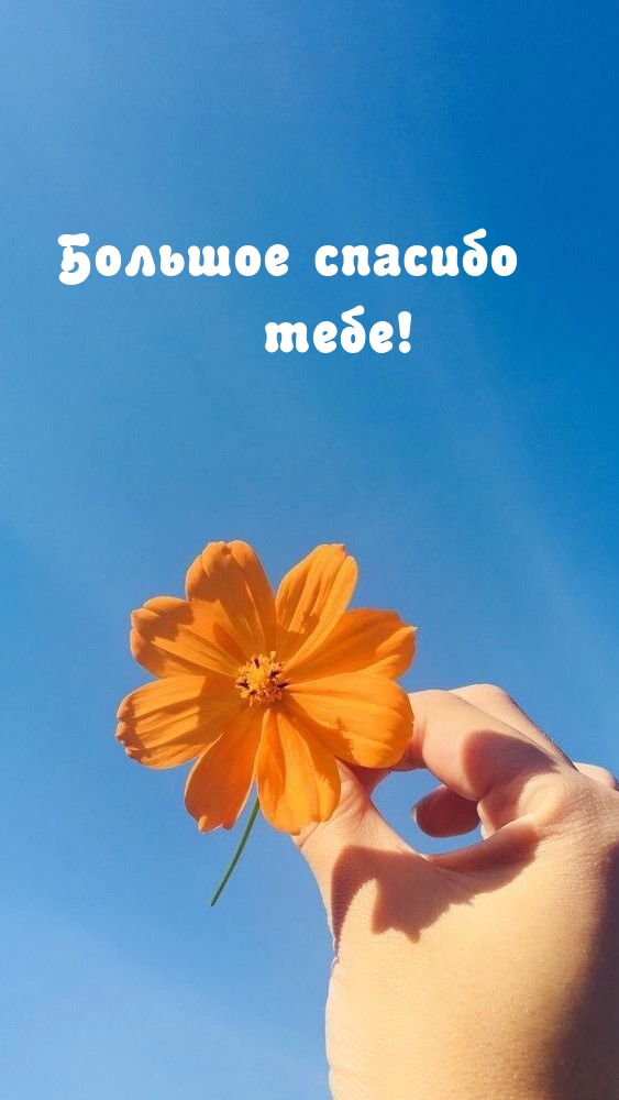 Большое спасибо тебе!