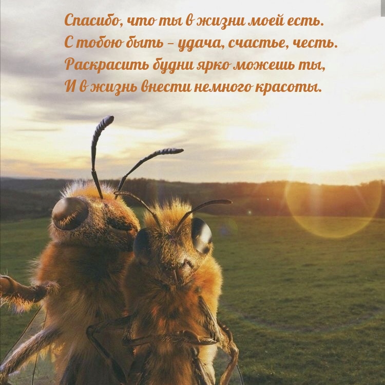 Спасибо, что ты в жизни моей есть. С тобою быть — удача