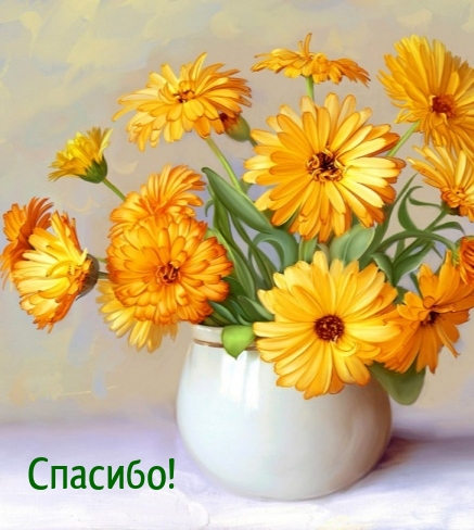 Спасибо!