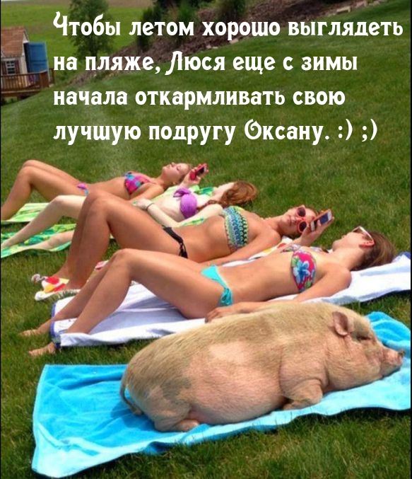 Люся еще с зимы начала откармливать свою лучшую подругу Оксану.