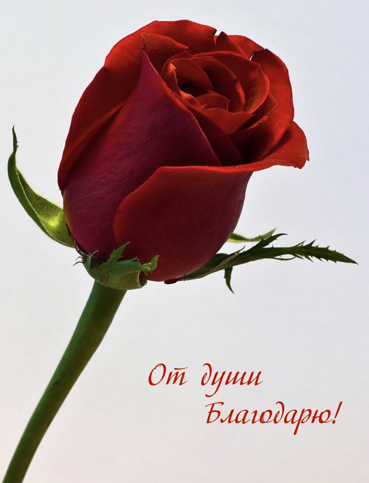 От души Благодарю!