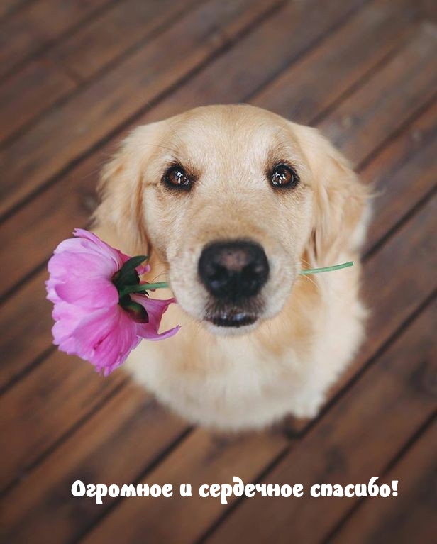 Огромное и сердечное спасибо!