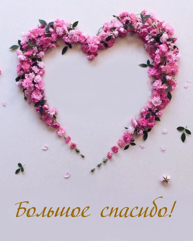 Большое спасибо!