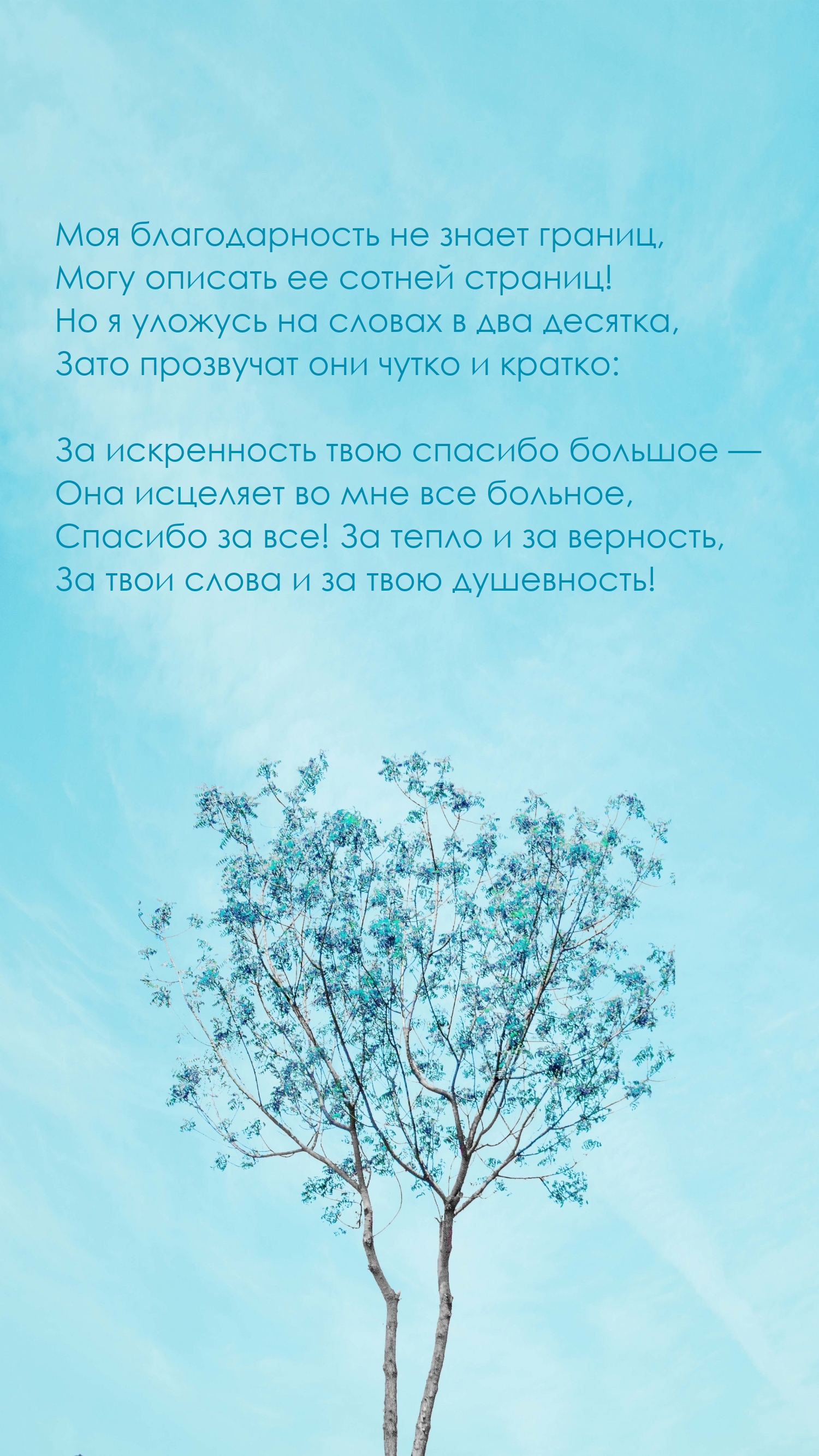 Моя благодарность не знает границ