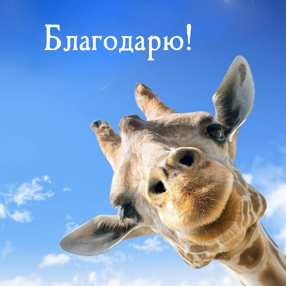 Благодарю!
