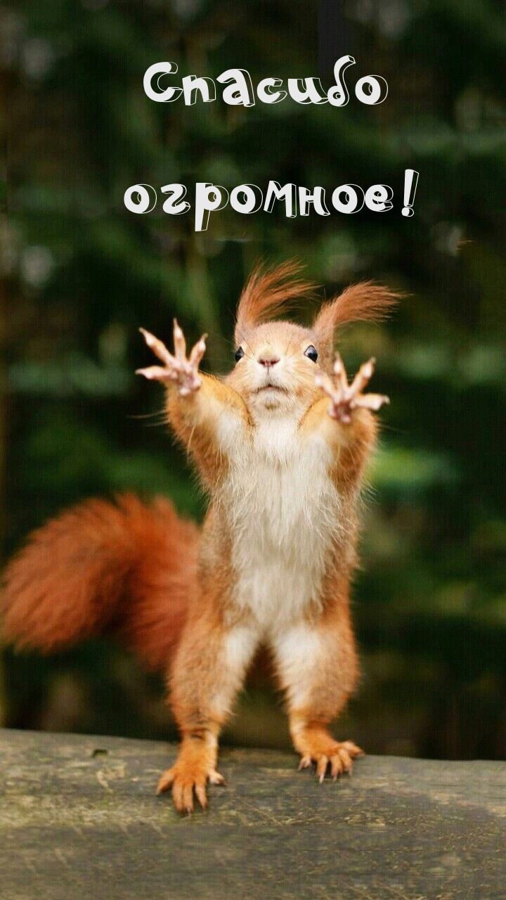 Спасибо огромное!