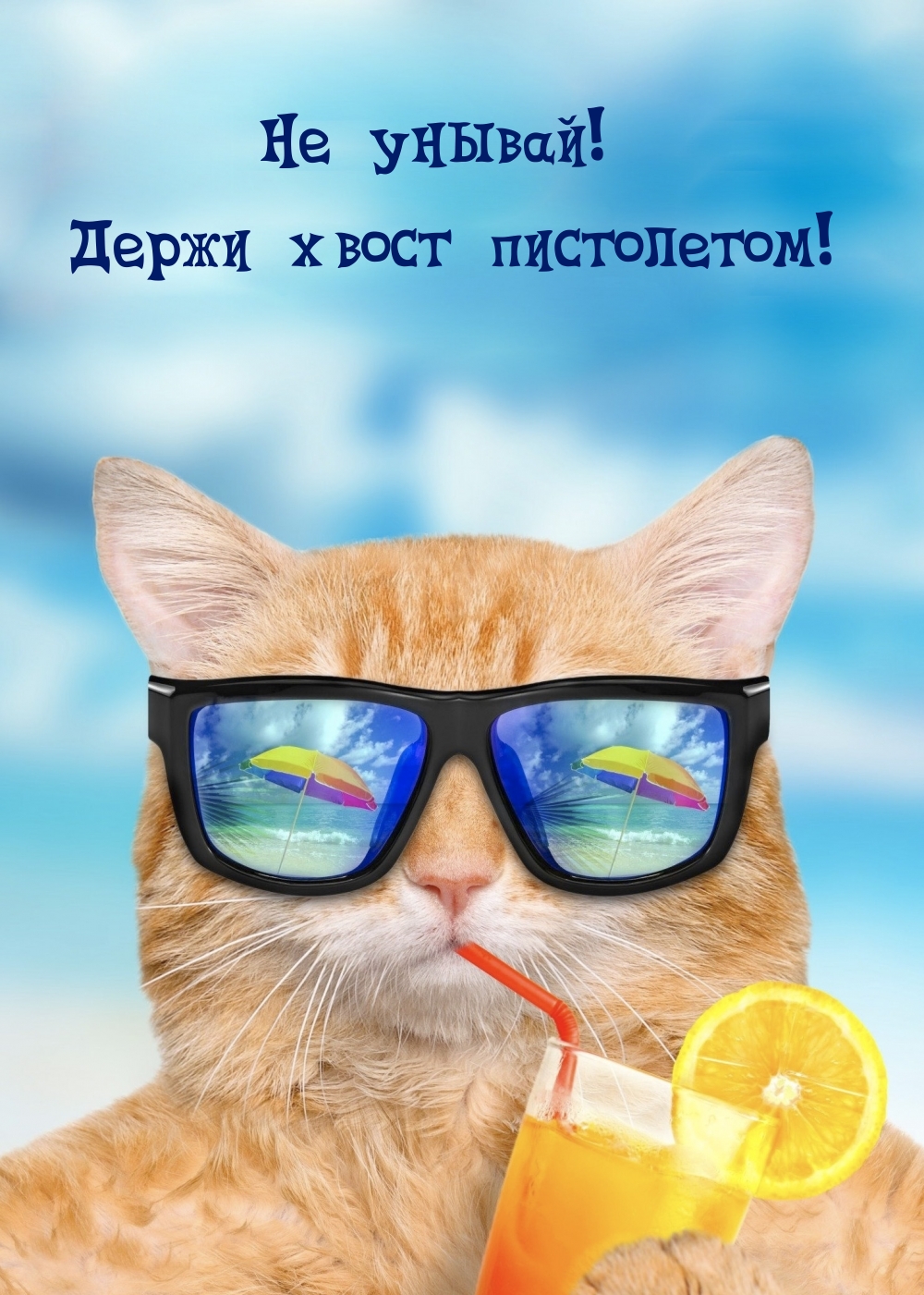 Не унывай! Держи хвост пистолетом!