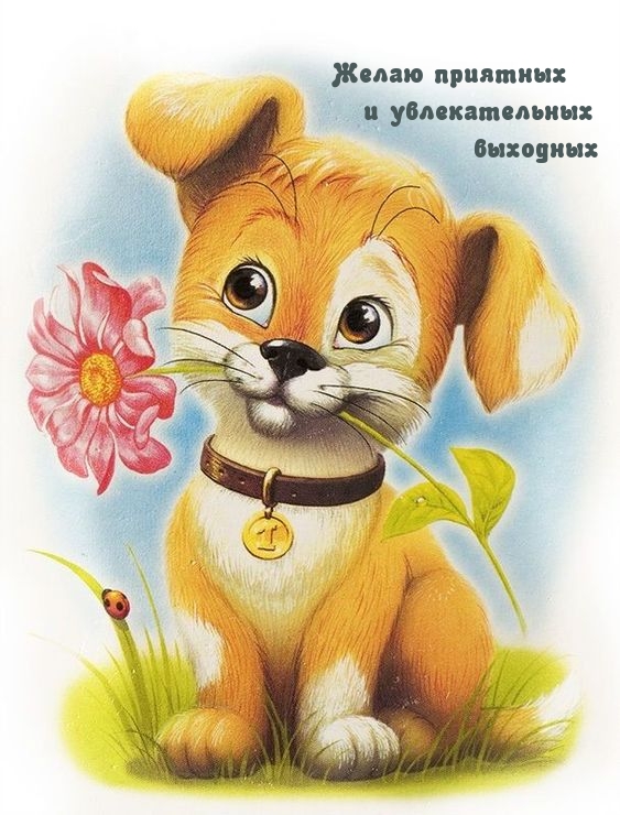 Желаю приятных и увлекательных выходных
