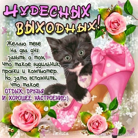Чудесных выходных! Отдыха и хорошего настроения!