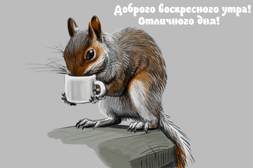 Картинка - Доброго воскресного утра! Отличного дня!.