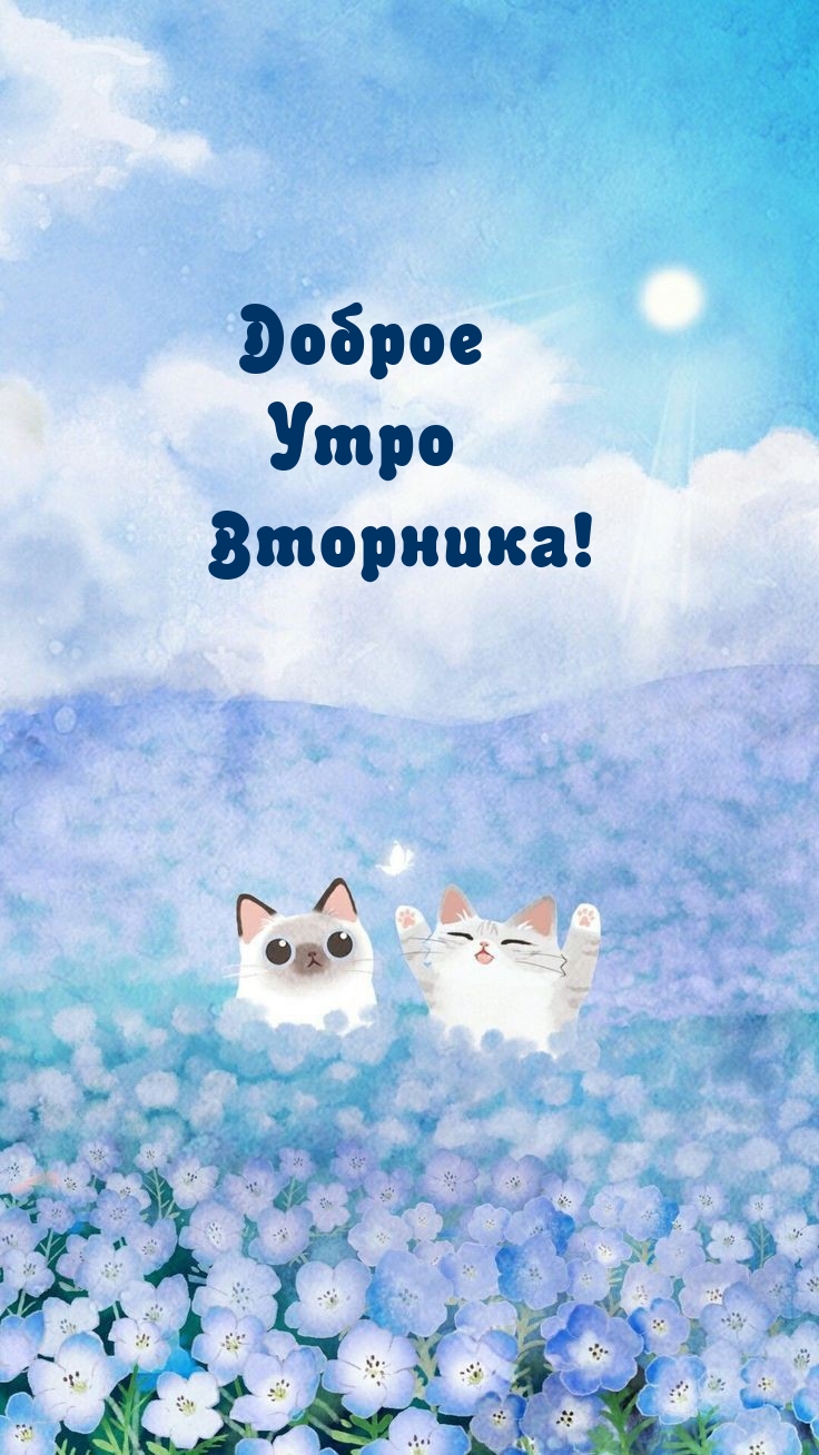 Доброе Утро Вторника!