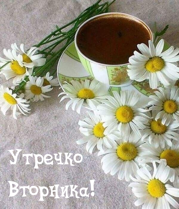 Утречко Вторника!