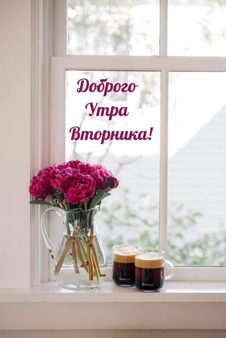 Доброго Утра Вторника!