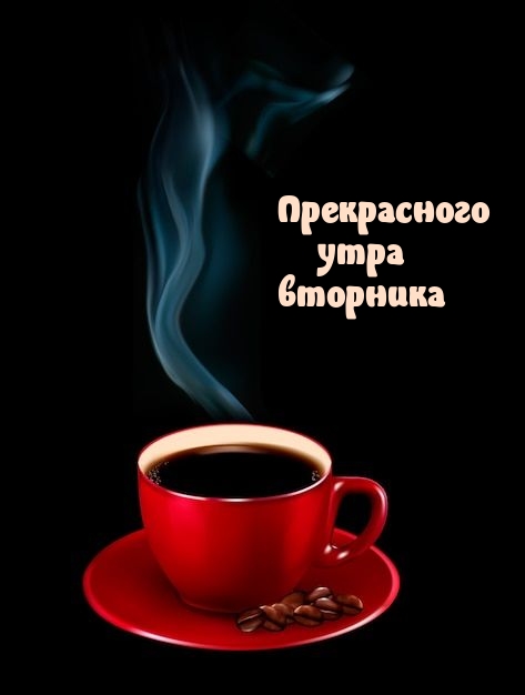 Прекрасного утра вторника
