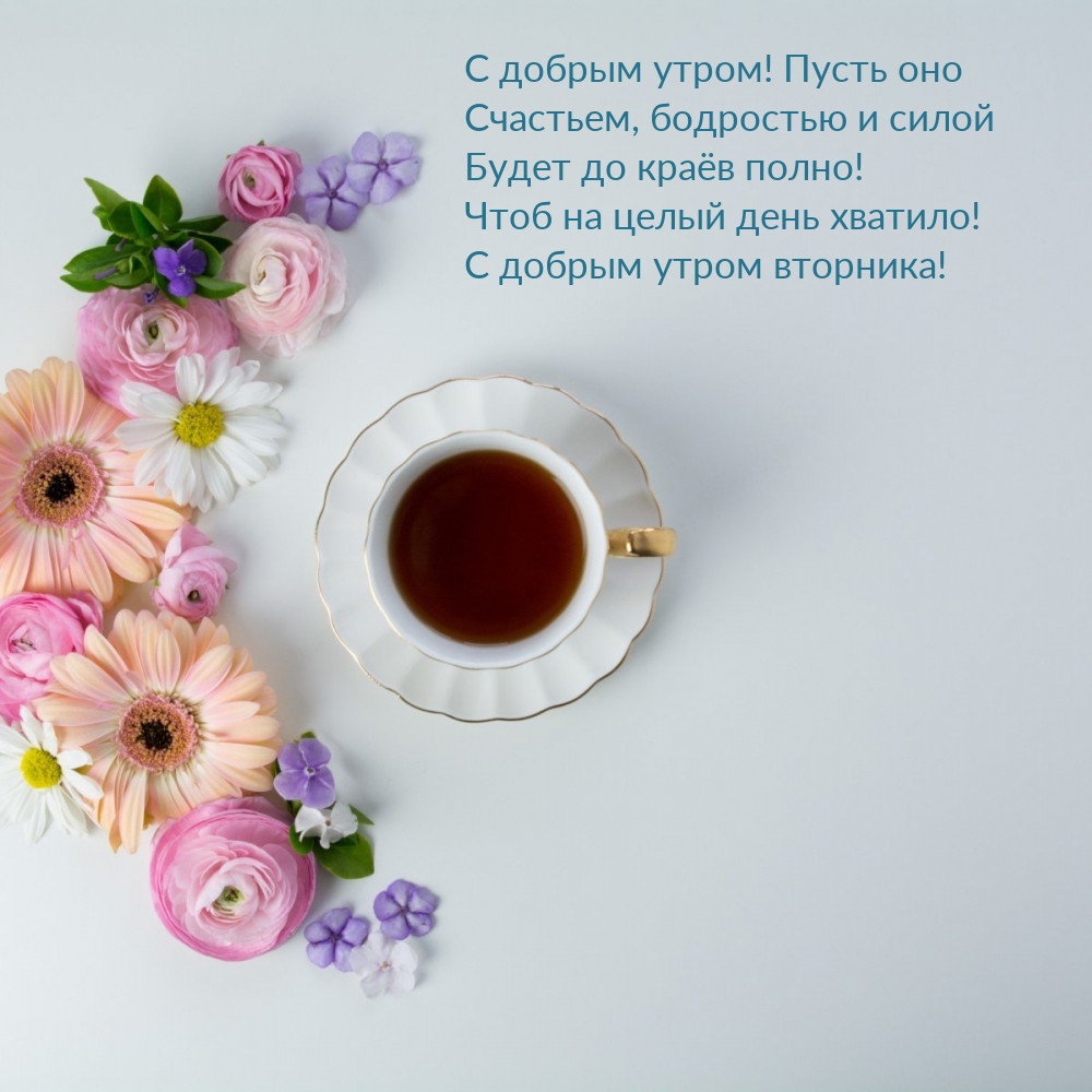 Чтоб на целый день хватило! С добрым утром вторника!