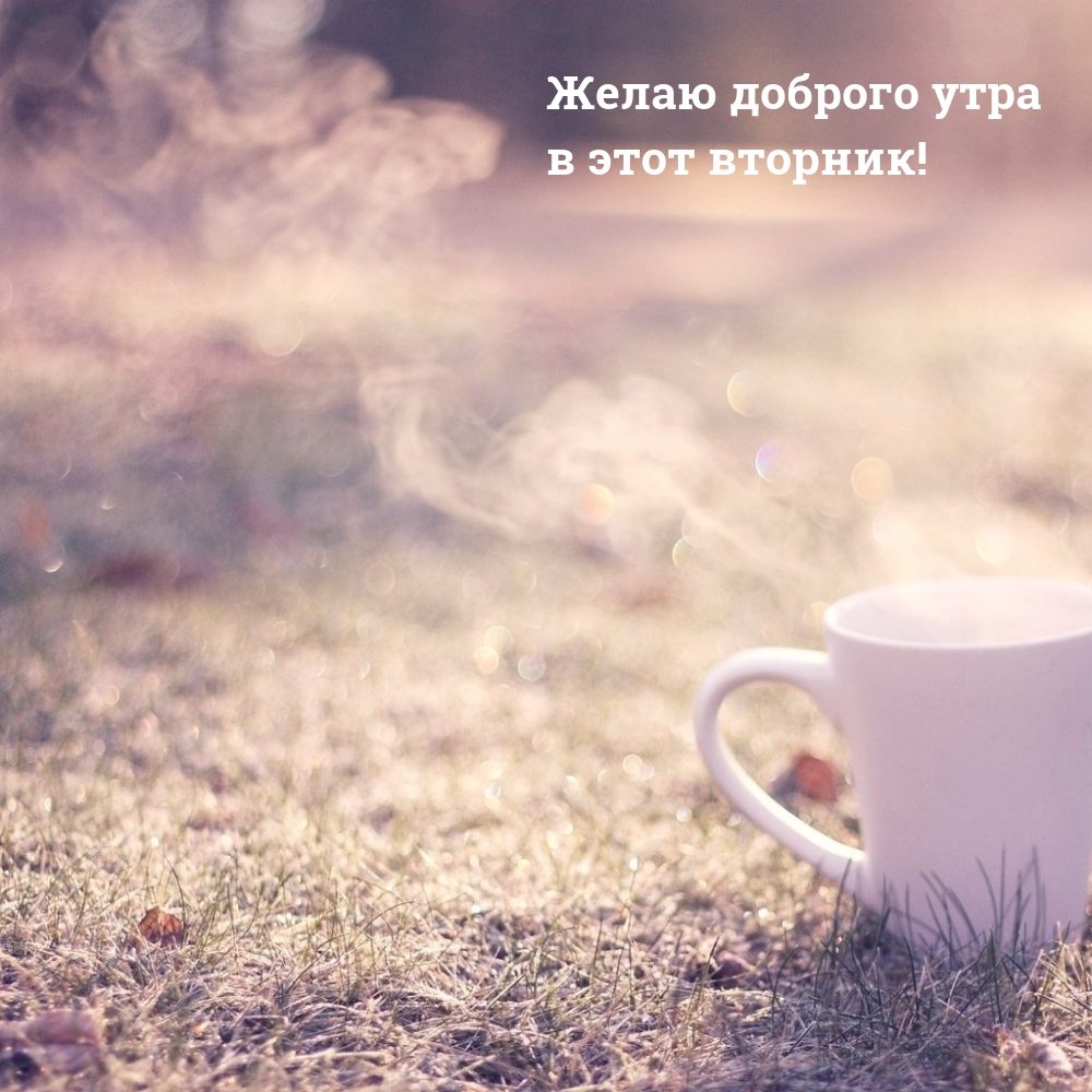 Желаю доброго утра в этот вторник!