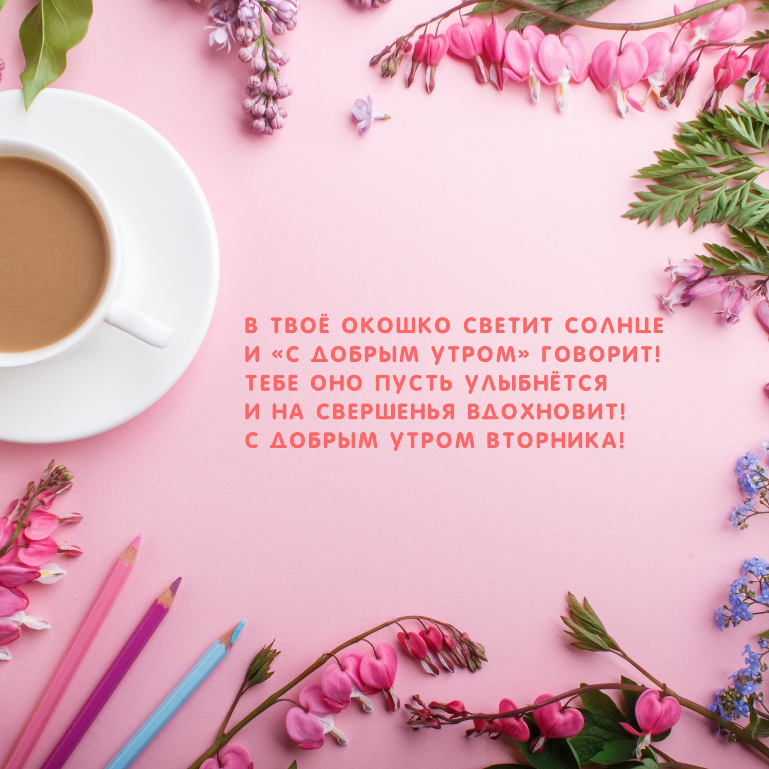 С добрым утром вторника! В твоё окошко светит солнце