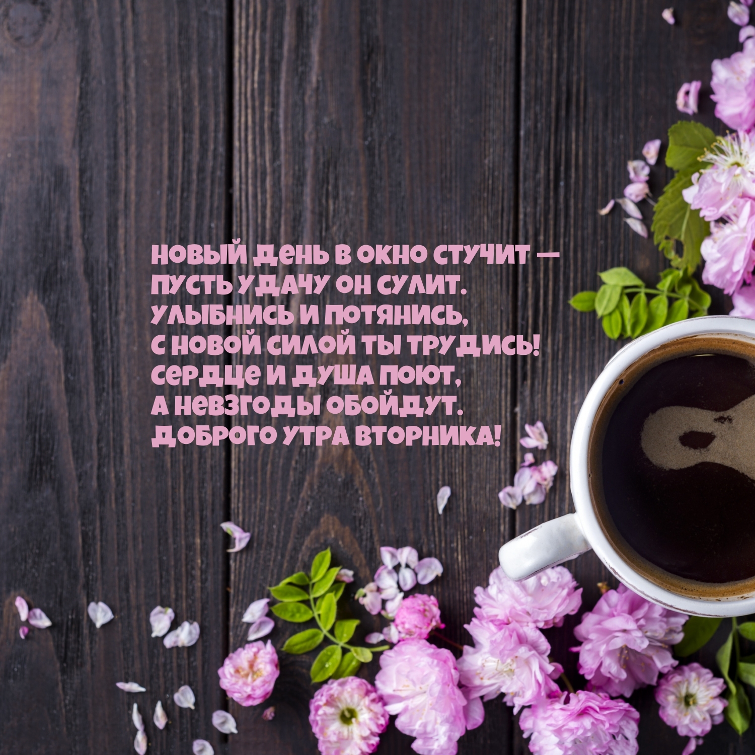 Новый день в окно стучит — пусть удачу он сулит. Доброго утра вторника!