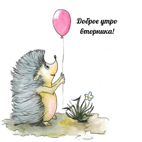 Доброе утро вторника!