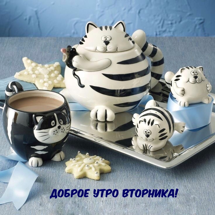 Доброе утро вторника!