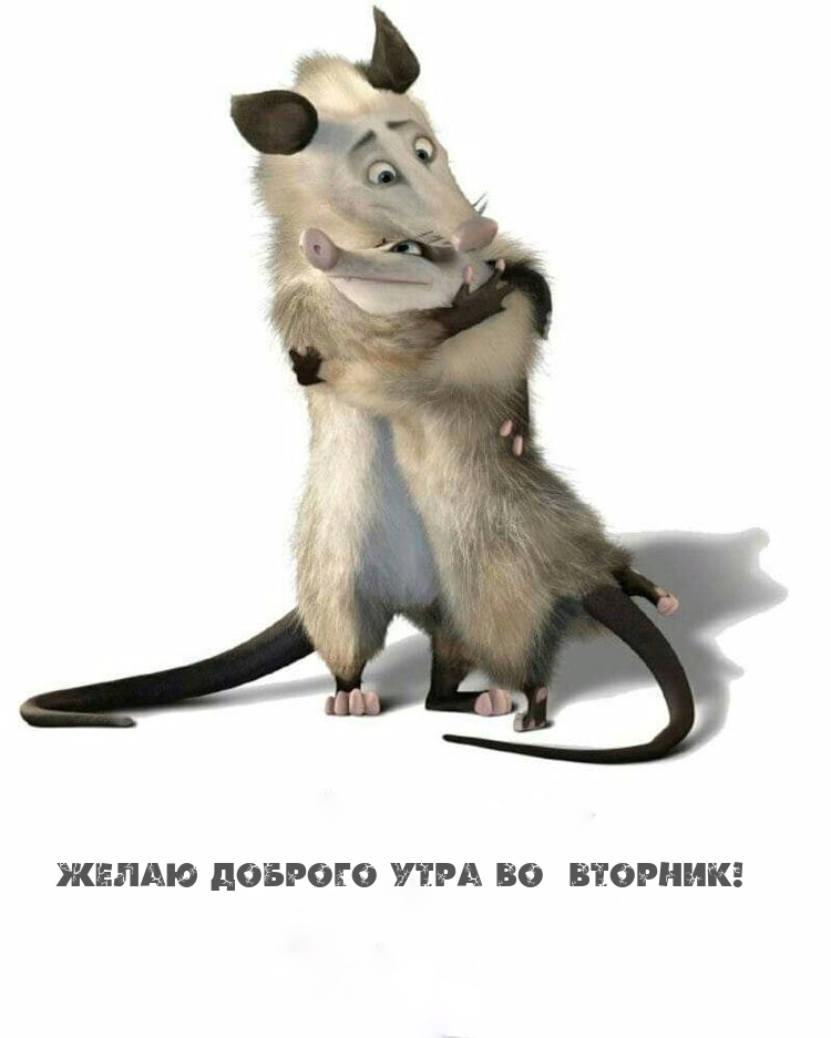 Желаю доброго утра во вторник!