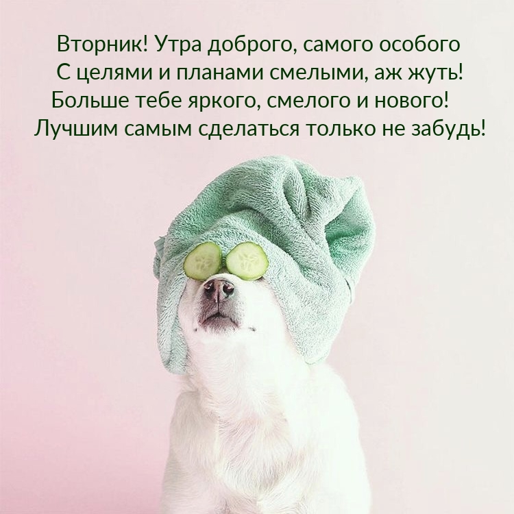 Вторник! Утра доброго, самого особого