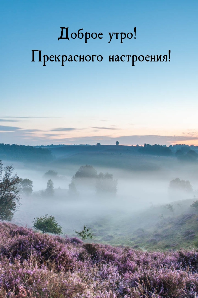Доброе утро! Прекрасного настроения!