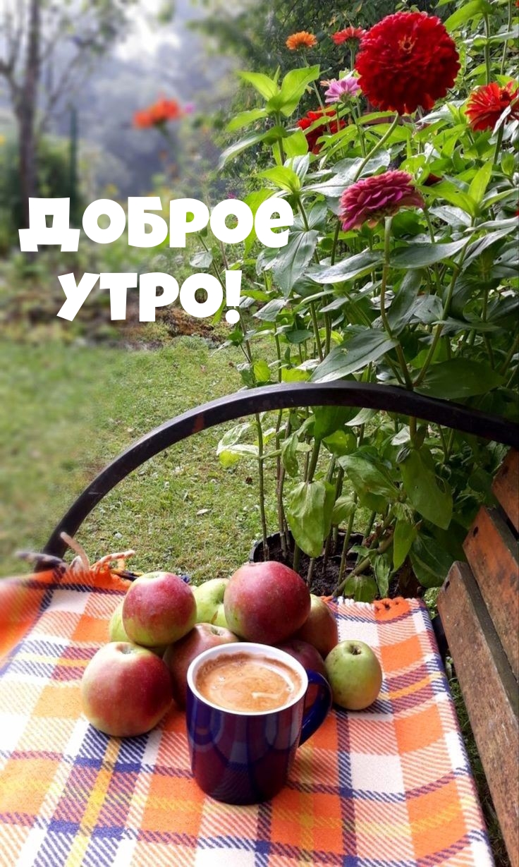 Доброе Утро!