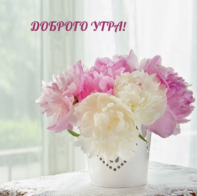Доброго утра!