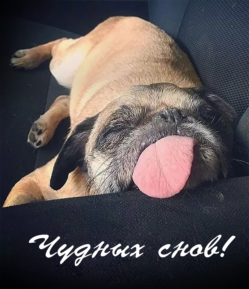 Чудных снов!