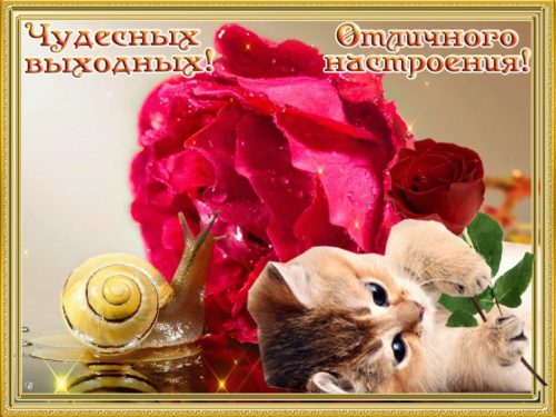 Чудесных выходных и отличного настроения!
