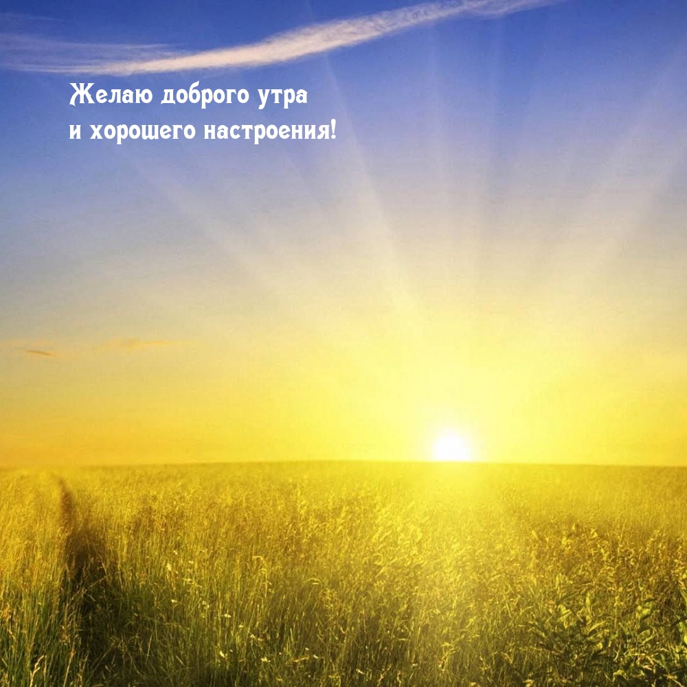 Желаю доброго утра и хорошего настроения!