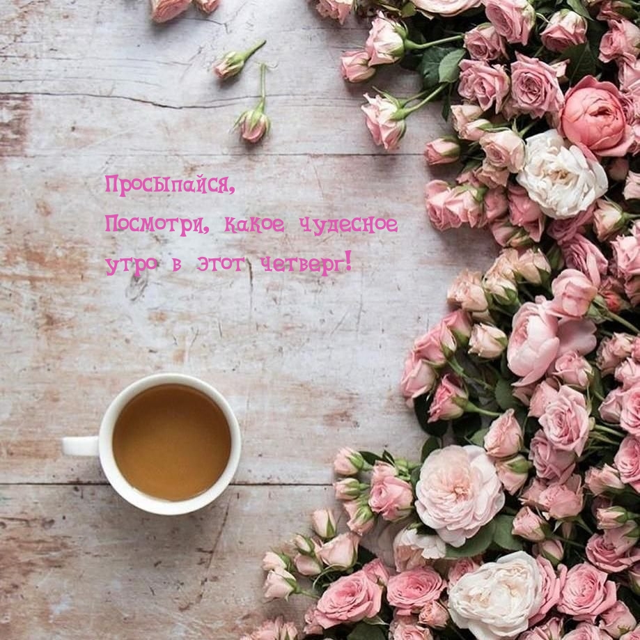 Просыпайся, посмотри, какое чудесное утро в этот четверг!