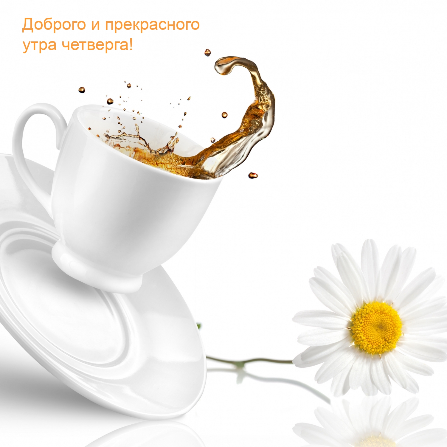 Доброго и прекрасного утра четверга!