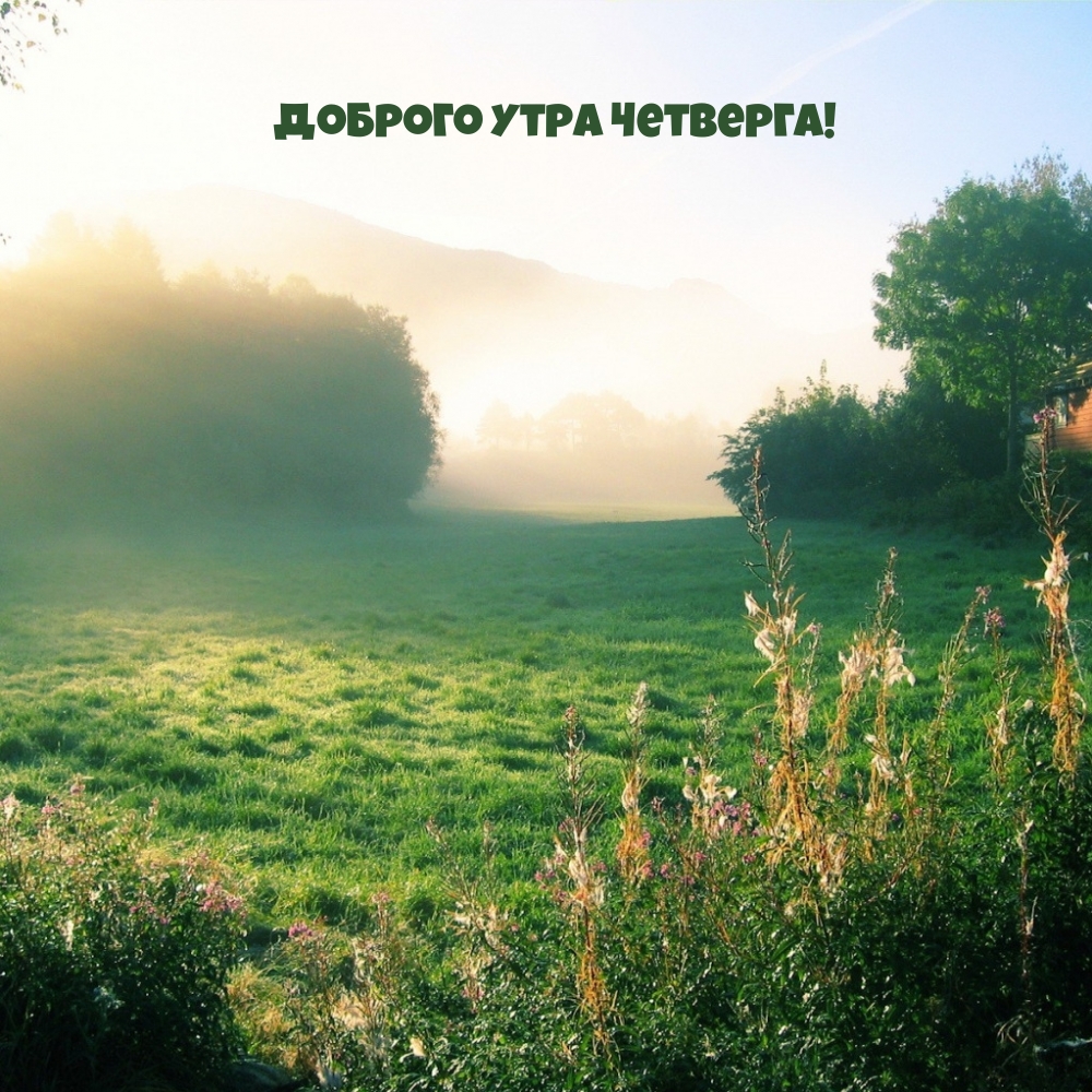 Доброго утра четверга!
