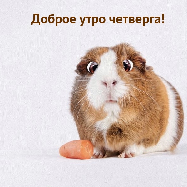 Доброе утро четверга!
