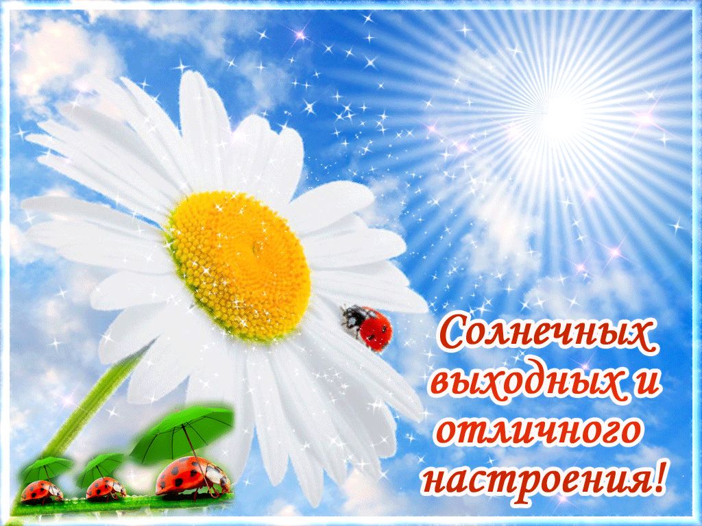 Солнечных выходных и отличного настроения!