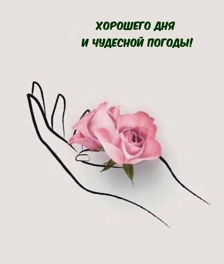 Хорошего дня и чудесной погоды!