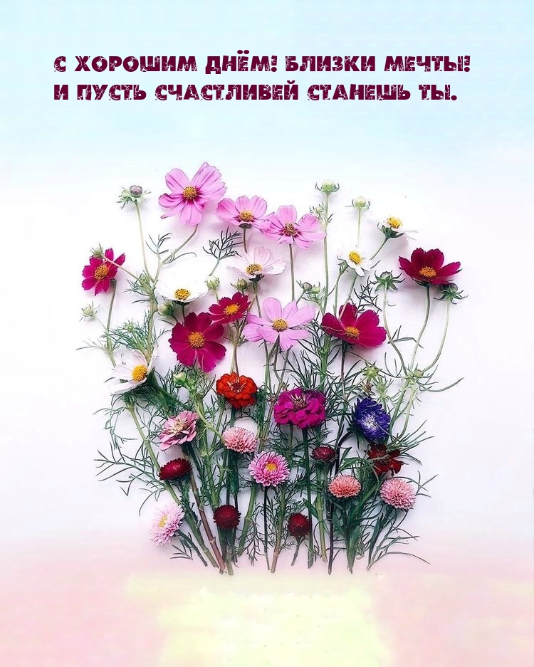 С хорошим днём! Близки мечты! И пусть счастливей станешь ты.