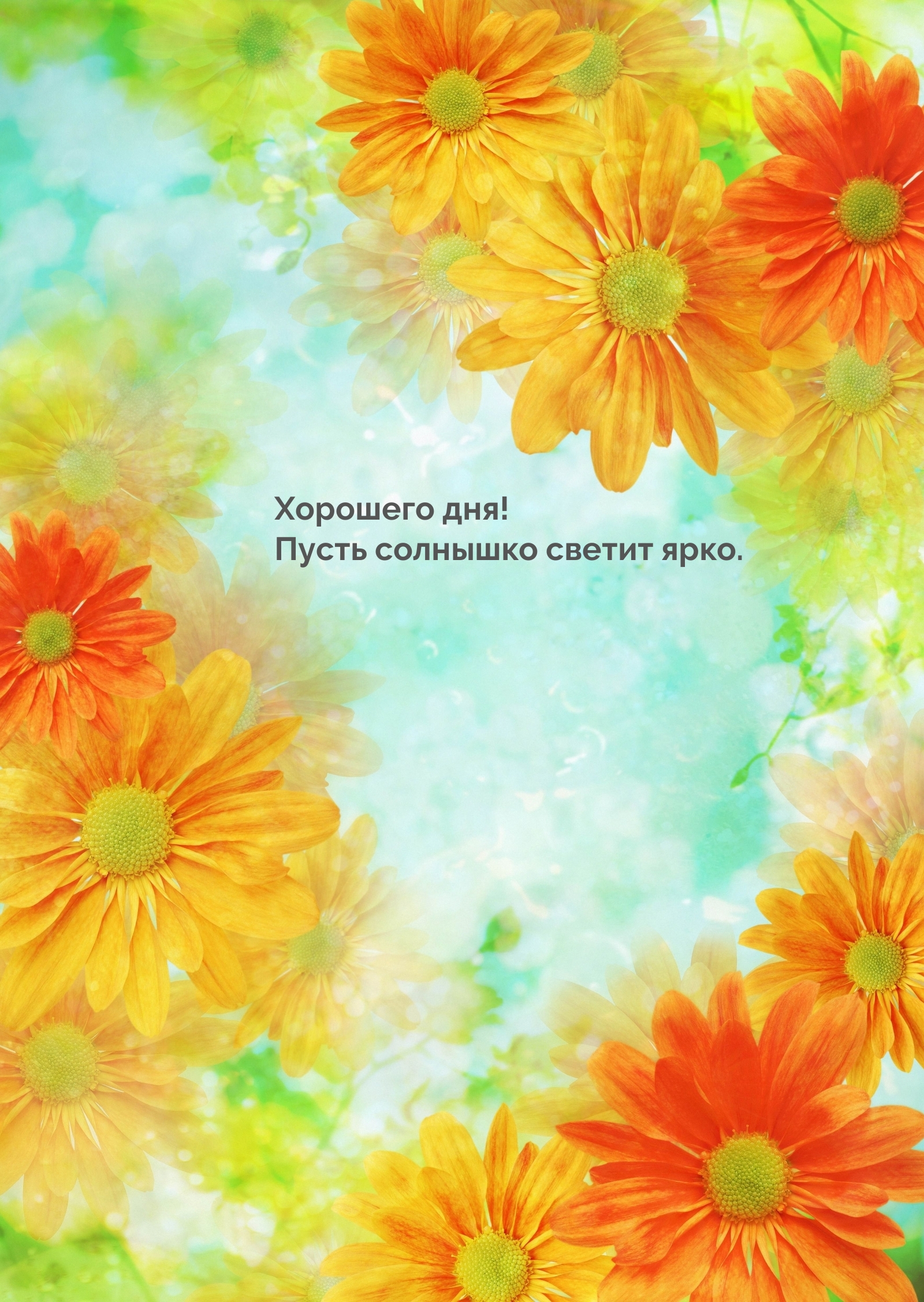 Хорошего дня! Пусть солнышко светит ярко.