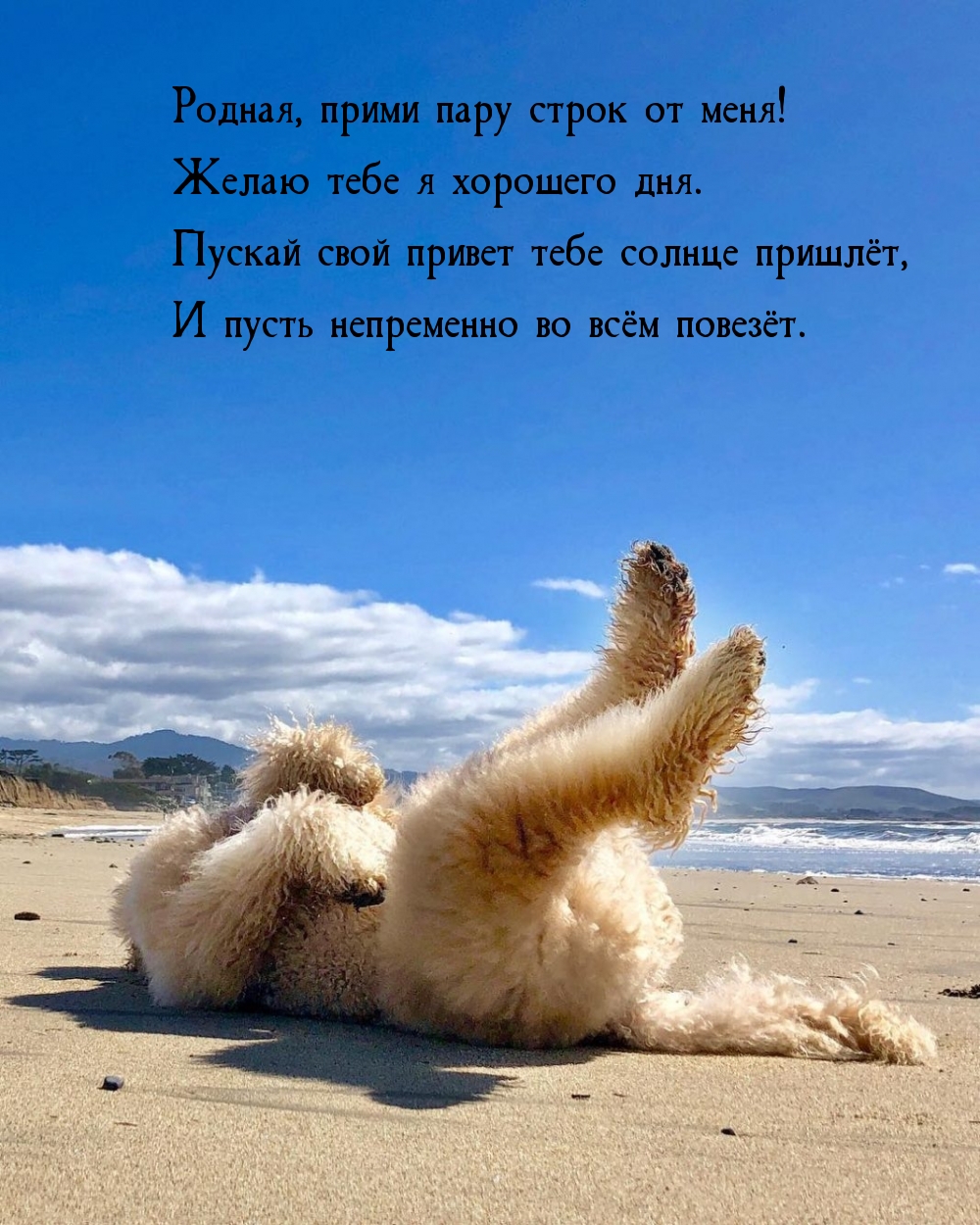 Родная, прими пару строк от меня! Желаю тебе я хорошего дня.