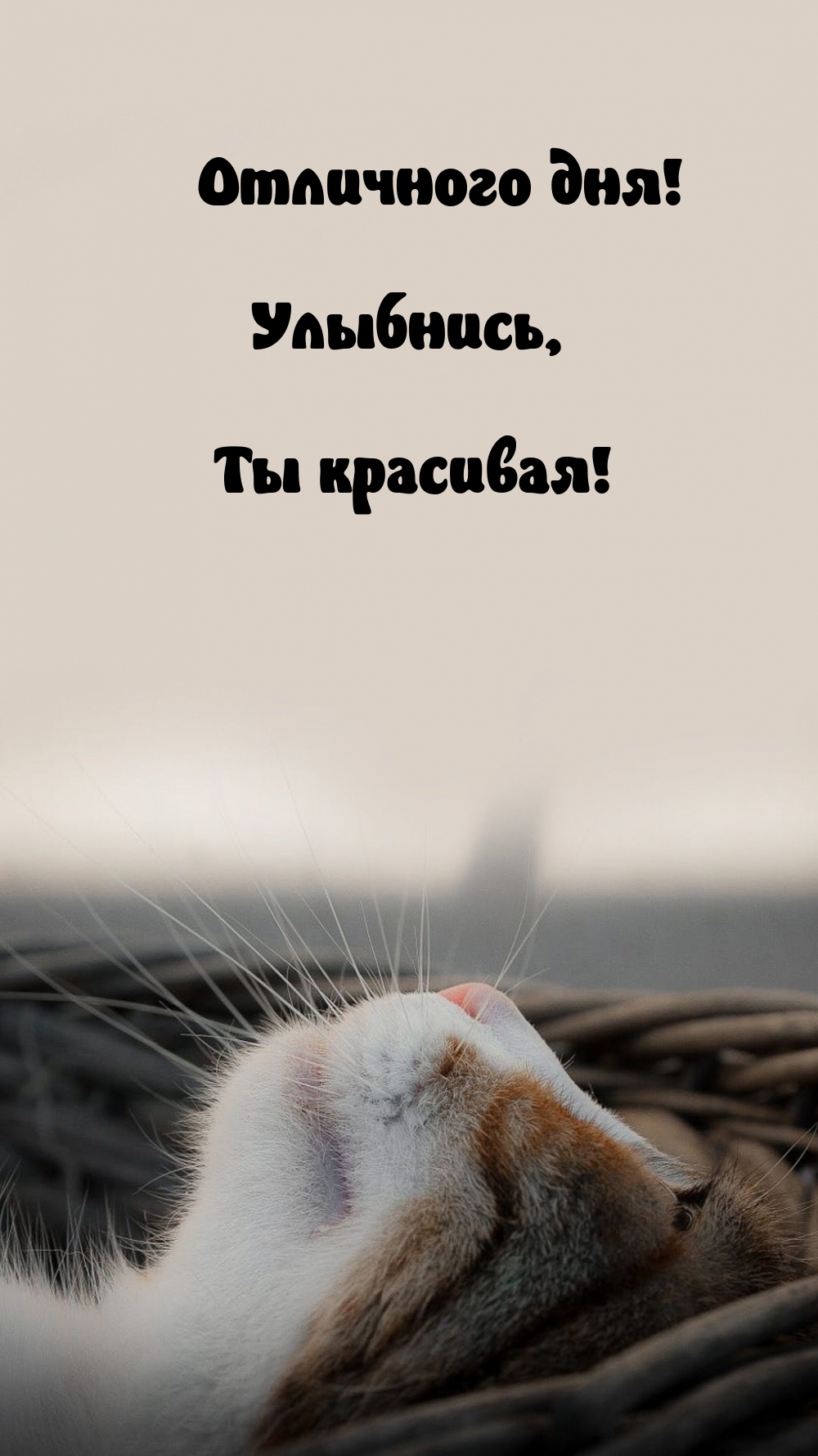 Отличного дня! Улыбнись, Ты красивая!