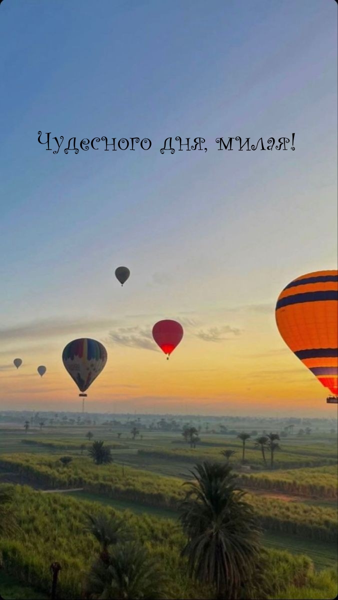Чудесного дня, милая!